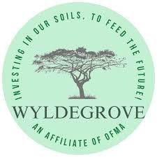 Wyldegrove